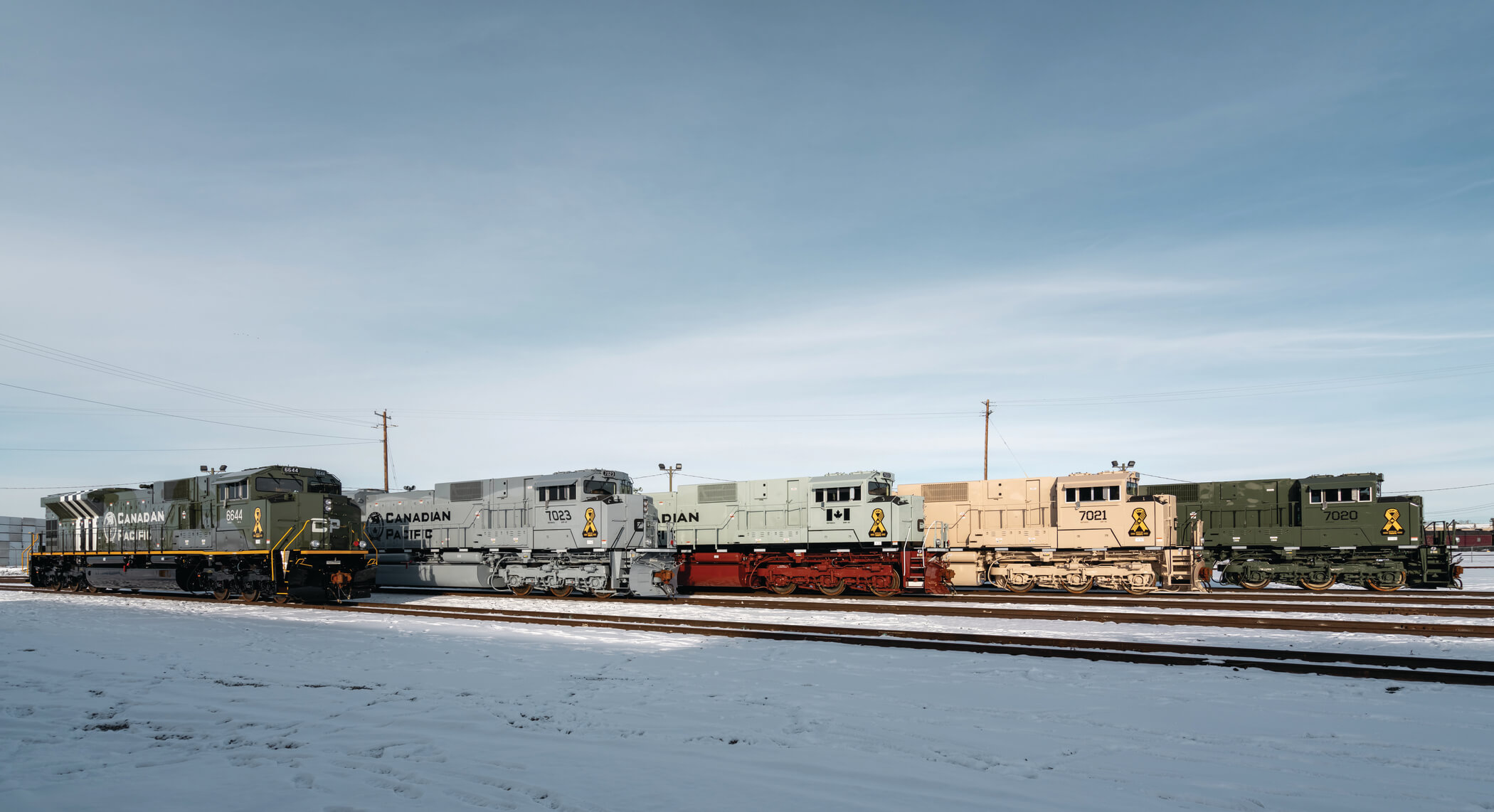 five differently painted locomotives honouring veterans